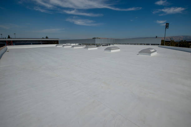 Best Steel Roofing  in Murillo, TX