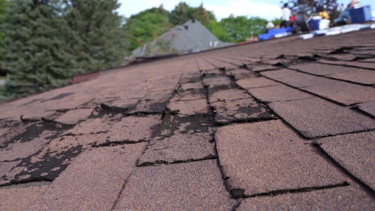 Best Roof Leak Repair  in Murillo, TX