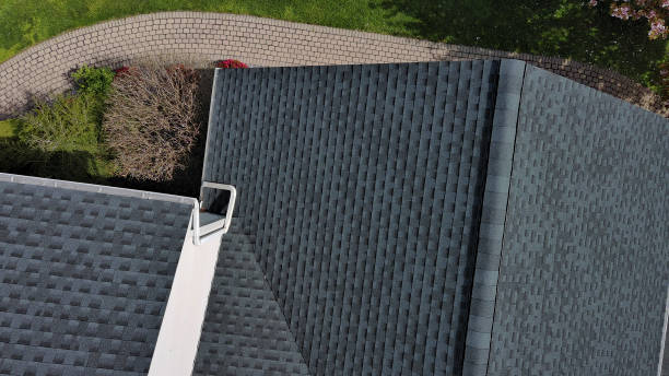 Best Roof Insulation Installation  in Murillo, TX